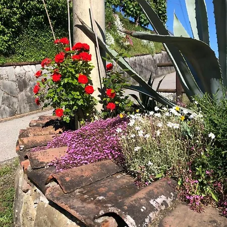 Casa Vacanze Lillo Vezzano Ligure